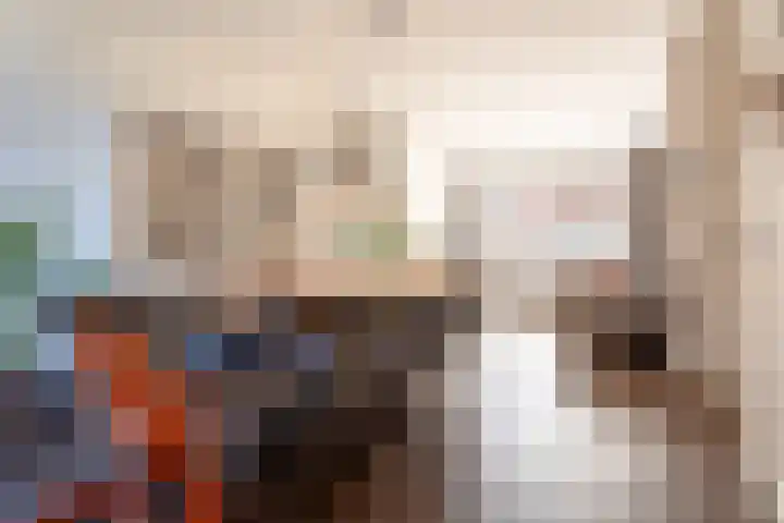 Esdoornstraat 19 Tilburg thumbnail 6