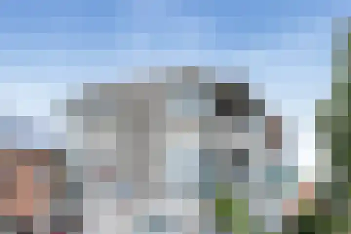 Esdoornstraat 2 B IJmuiden thumbnail 25