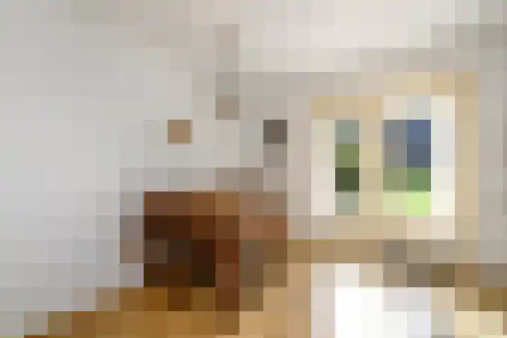 Esdoornstraat 2 De Blesse thumbnail 11