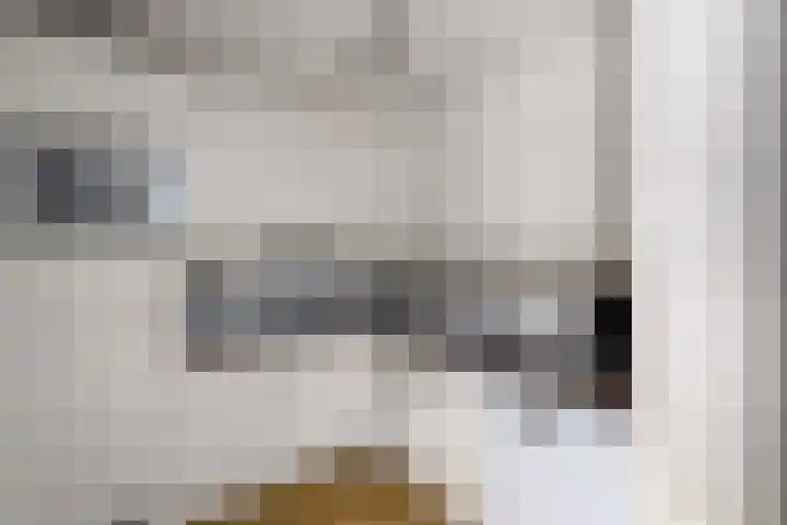 Esdoornstraat 2 De Blesse thumbnail 13