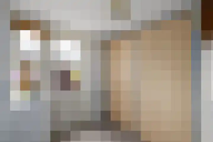 Esdoornstraat 2 De Blesse thumbnail 14
