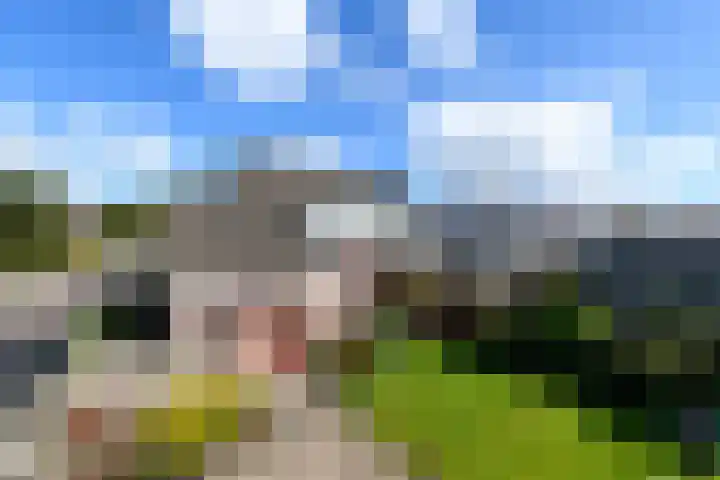Esdoornstraat 2 De Blesse thumbnail 31