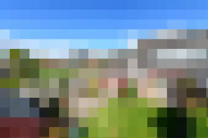 Esdoornstraat 2 De Blesse thumbnail 32