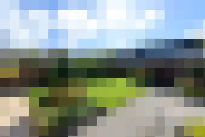 Esdoornstraat 2 De Blesse thumbnail 33