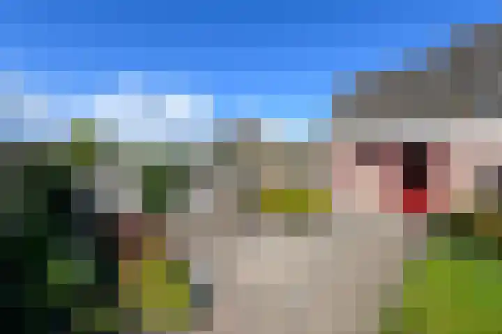 Esdoornstraat 2 De Blesse thumbnail 35