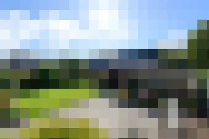 Esdoornstraat 2 De Blesse thumbnail 36