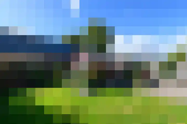 Esdoornstraat 2 De Blesse thumbnail 37
