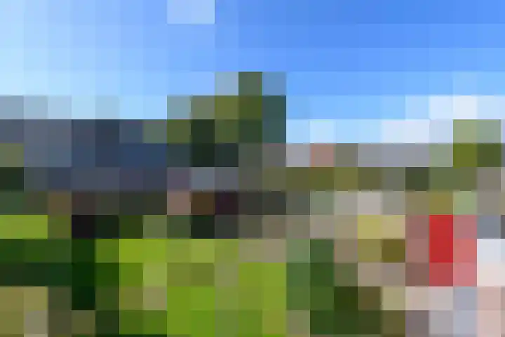 Esdoornstraat 2 De Blesse thumbnail 38