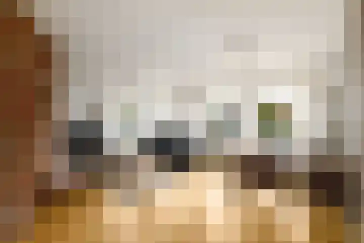 Esdoornstraat 2 De Blesse thumbnail 4