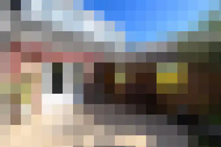 Esdoornstraat 2 De Blesse thumbnail 40