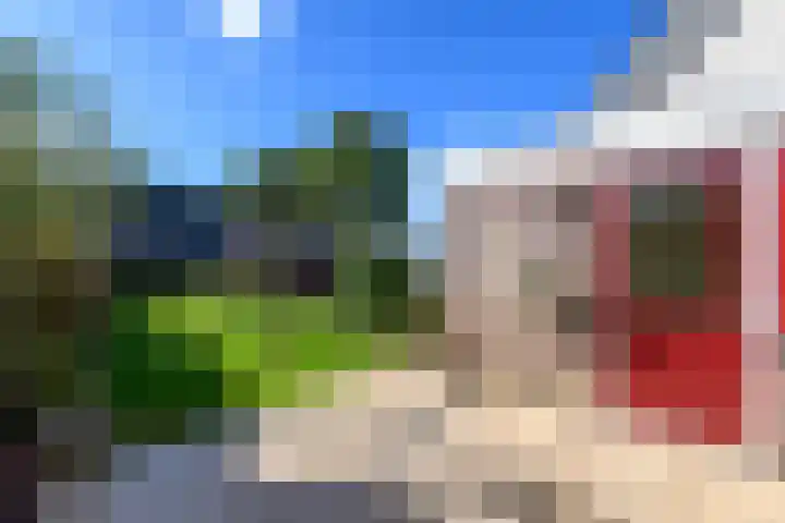 Esdoornstraat 2 De Blesse thumbnail 41