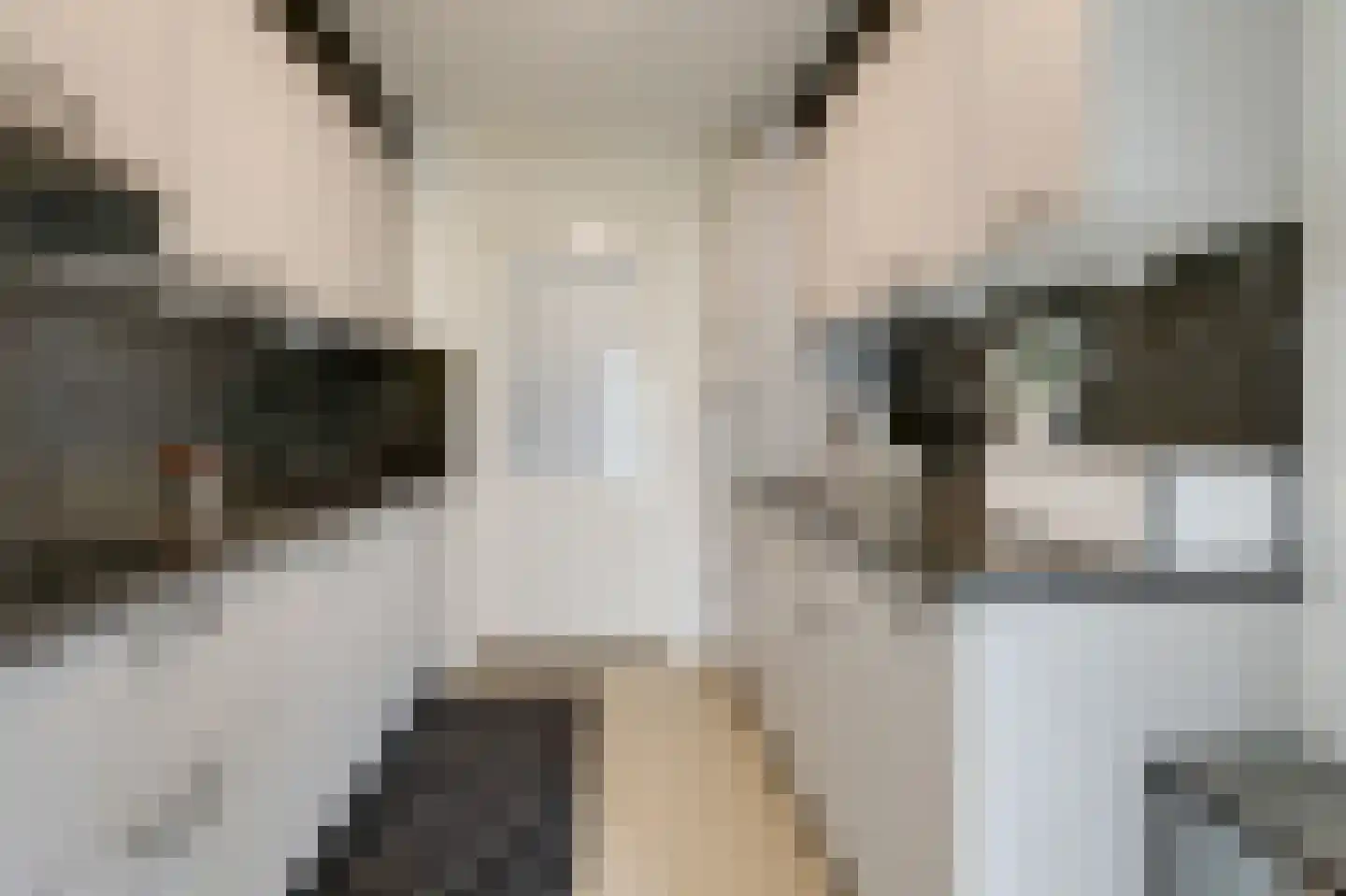Esdoornstraat 2 Zevenaar thumbnail 16