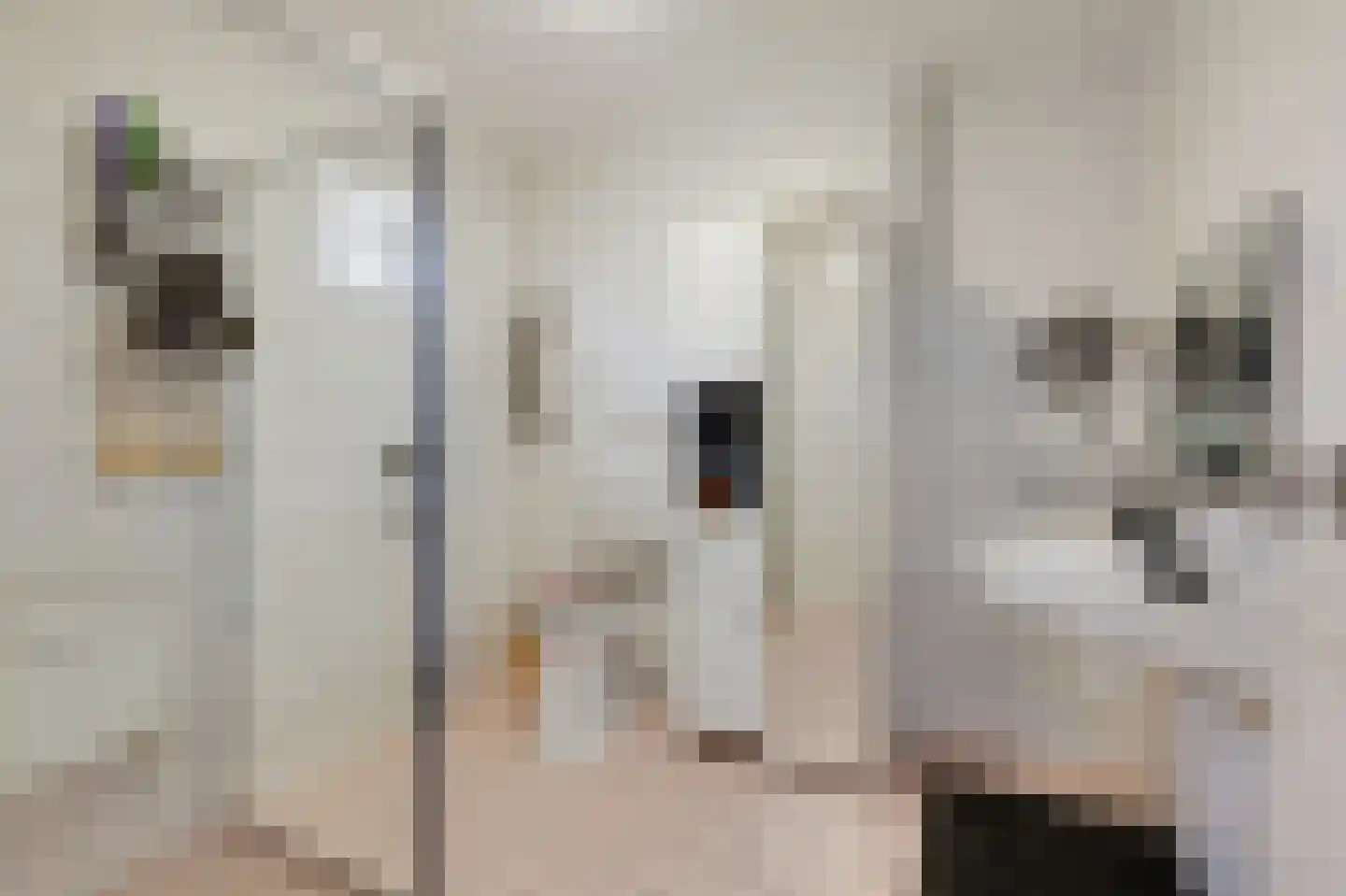 Esdoornstraat 2 Zevenaar thumbnail 22