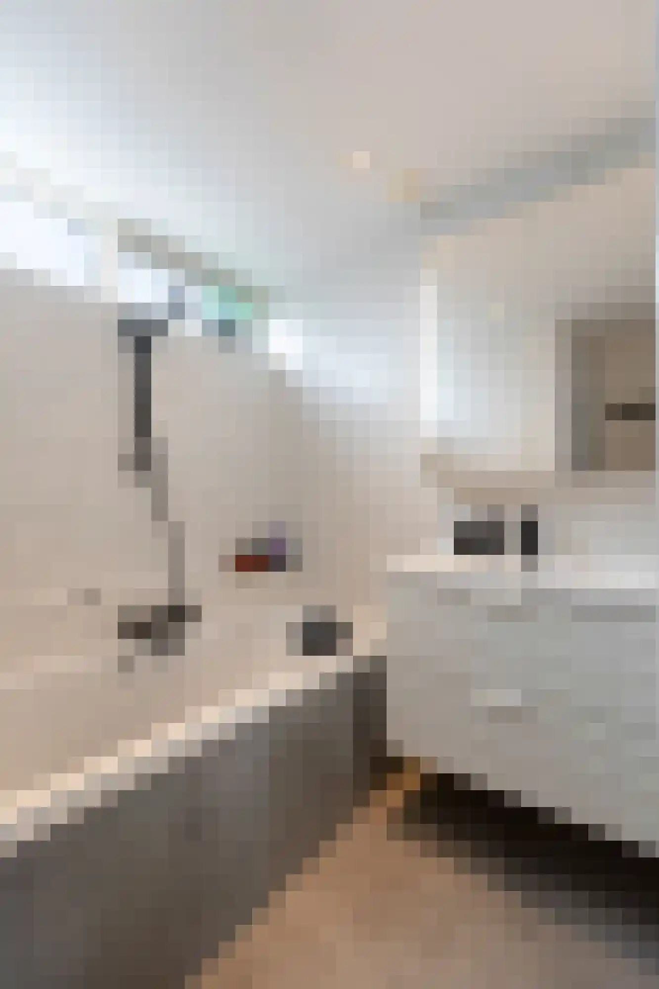 Esdoornstraat 2 Zevenaar thumbnail 29