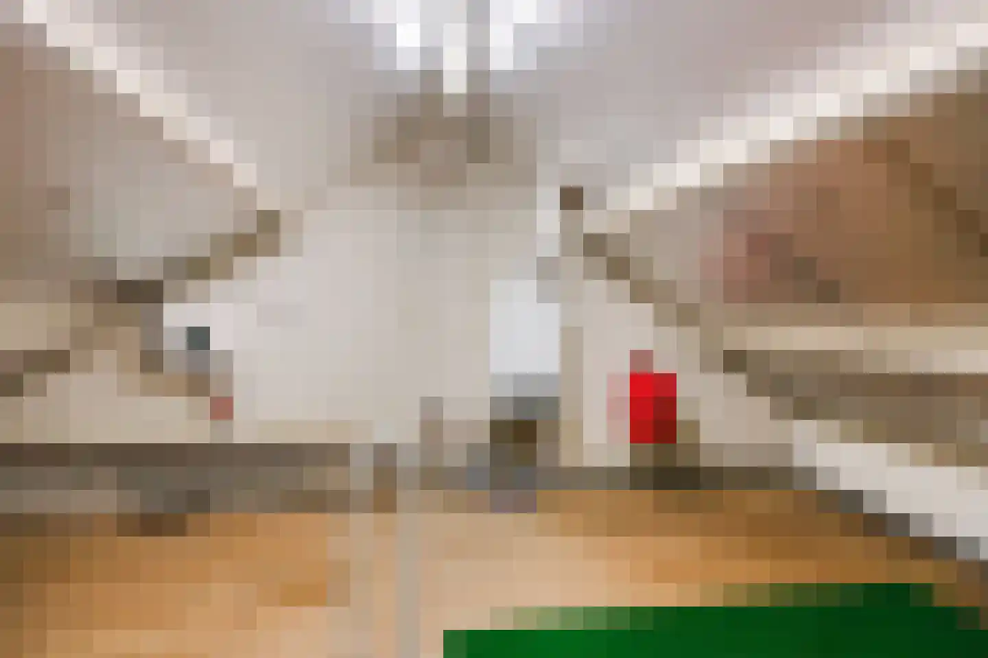 Esdoornstraat 2 Zevenaar thumbnail 31