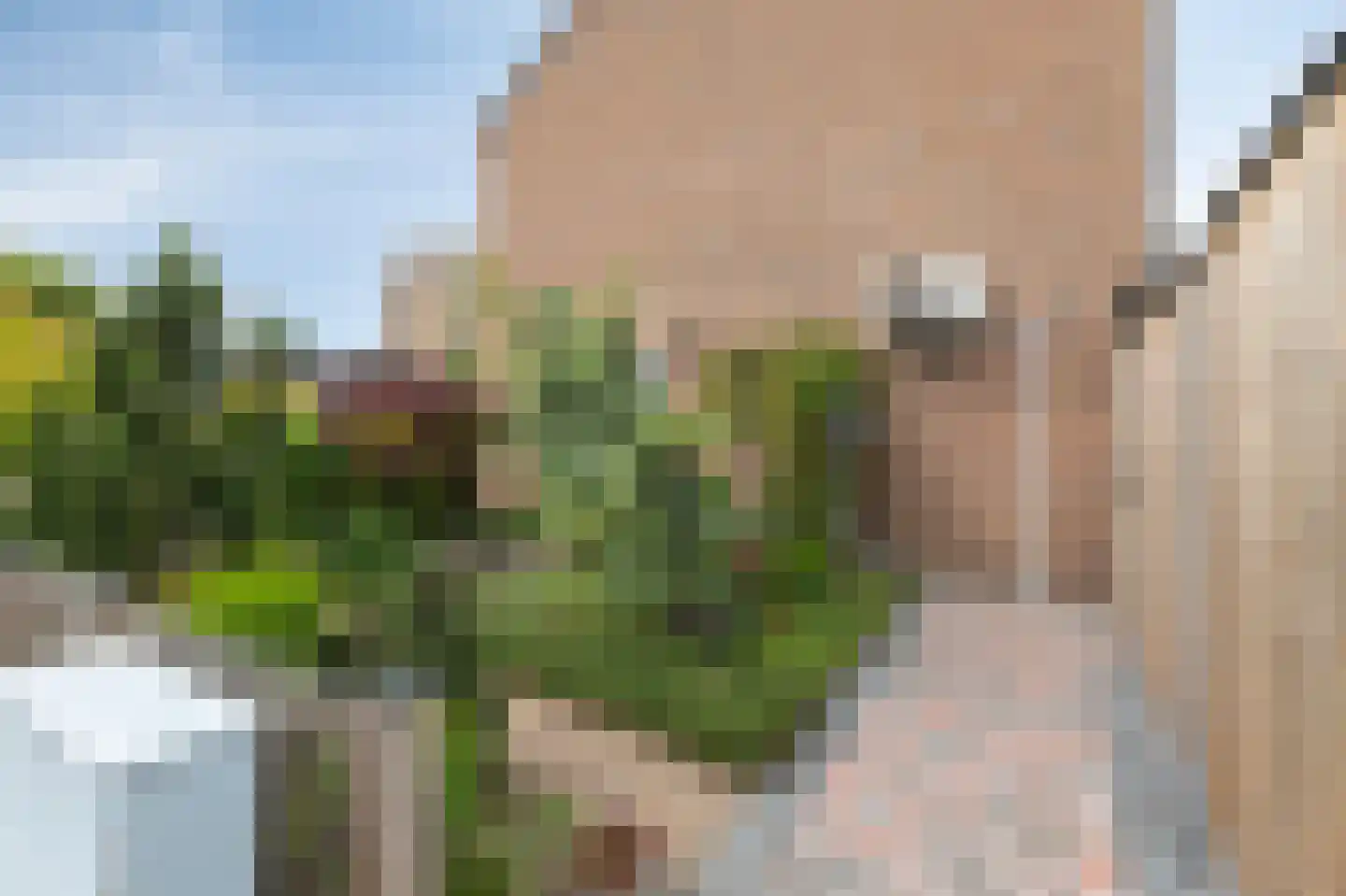Esdoornstraat 2 Zevenaar thumbnail 38
