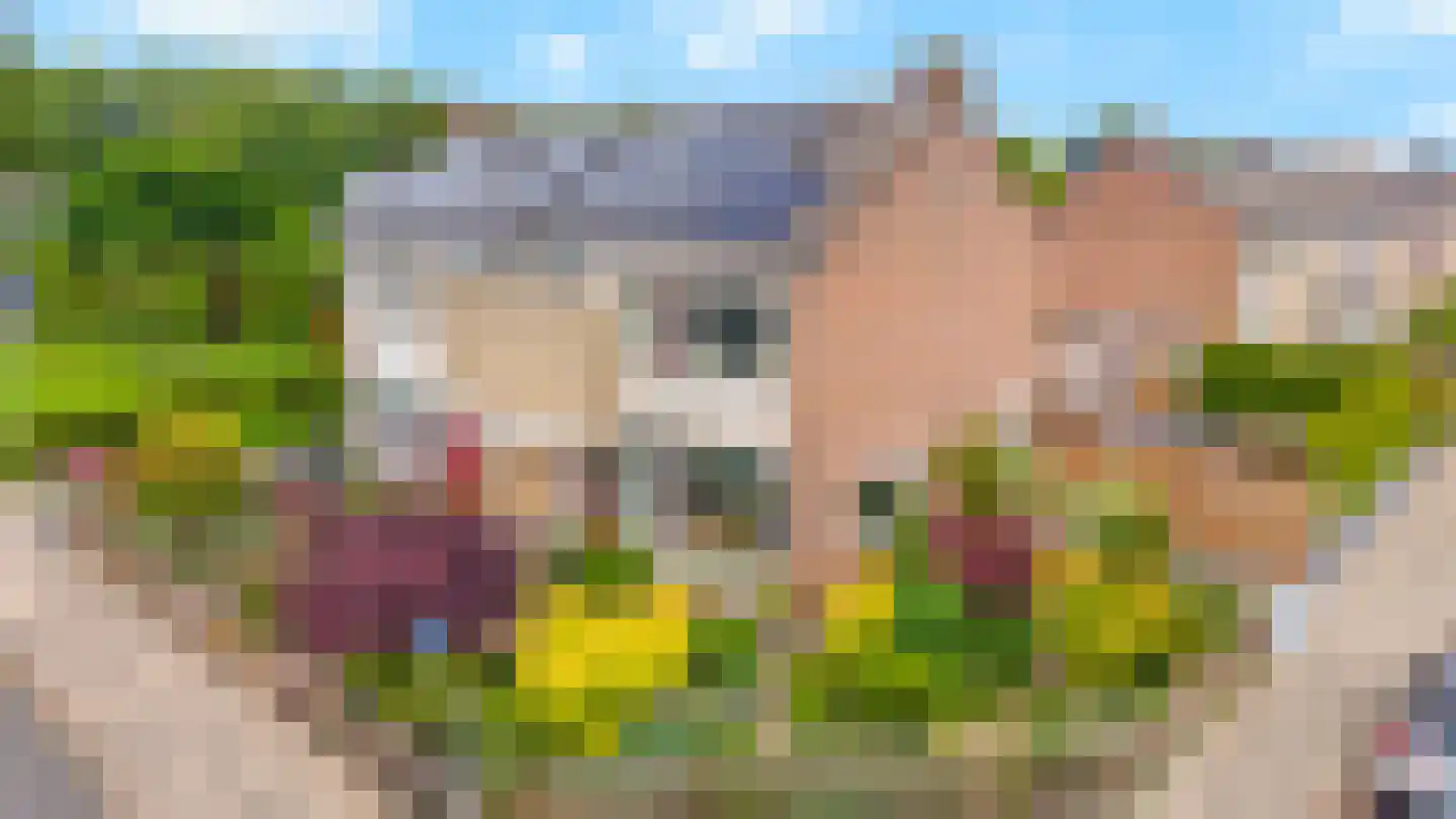 Esdoornstraat 2 Zevenaar thumbnail 40