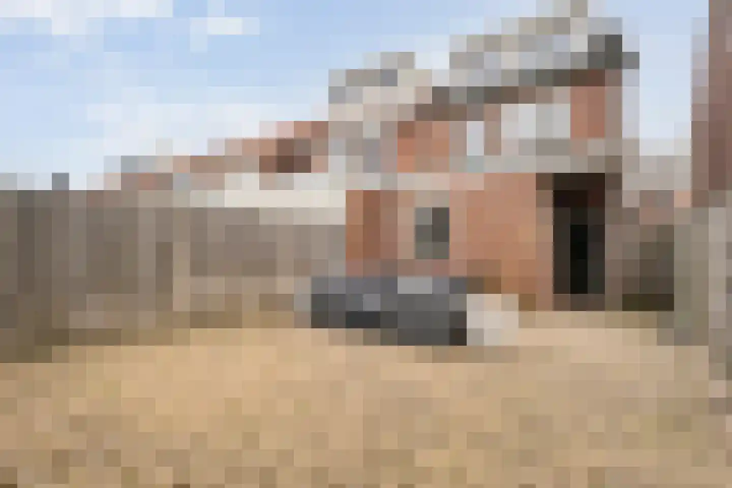 Esdoornstraat 20 Enschede thumbnail 34