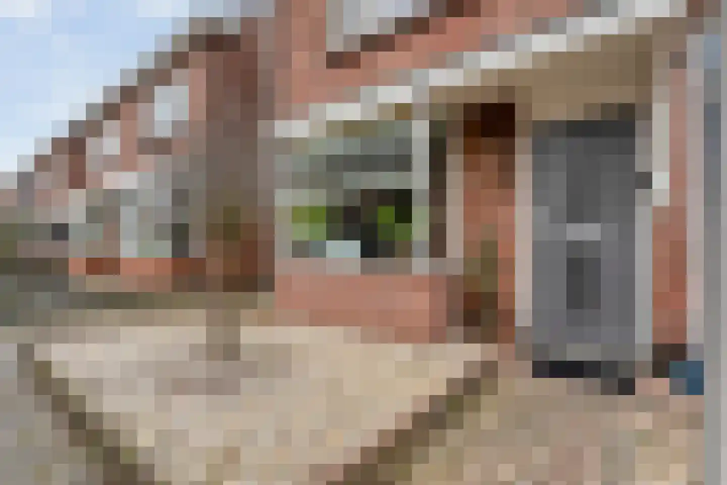 Esdoornstraat 20 Enschede thumbnail 6