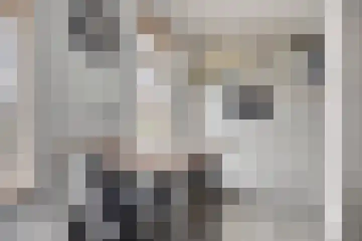 Esdoornstraat 20 Someren thumbnail 12