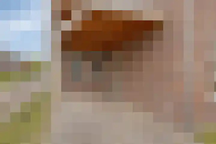 Esdoornstraat 20 Someren thumbnail 5
