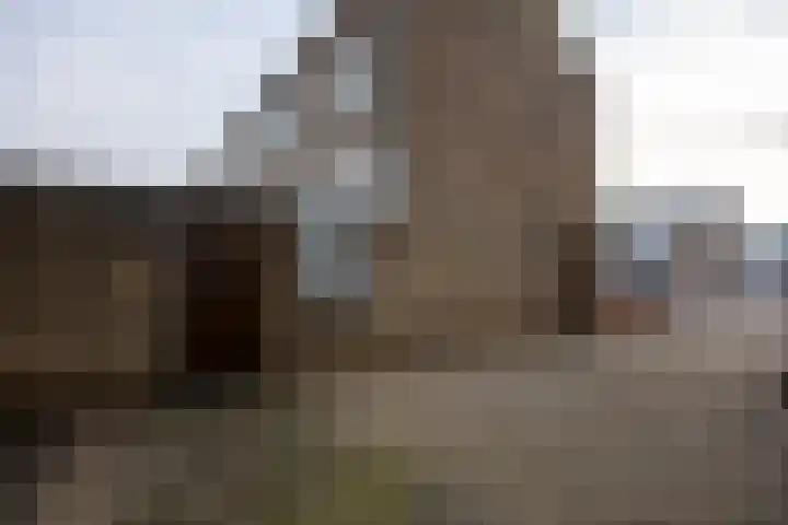 Esdoornstraat 22 Beek thumbnail 24