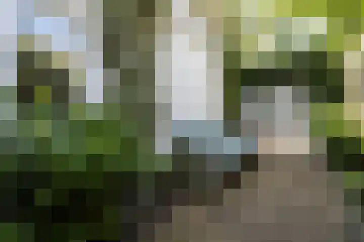 Esdoornstraat 22 Utrecht thumbnail 31