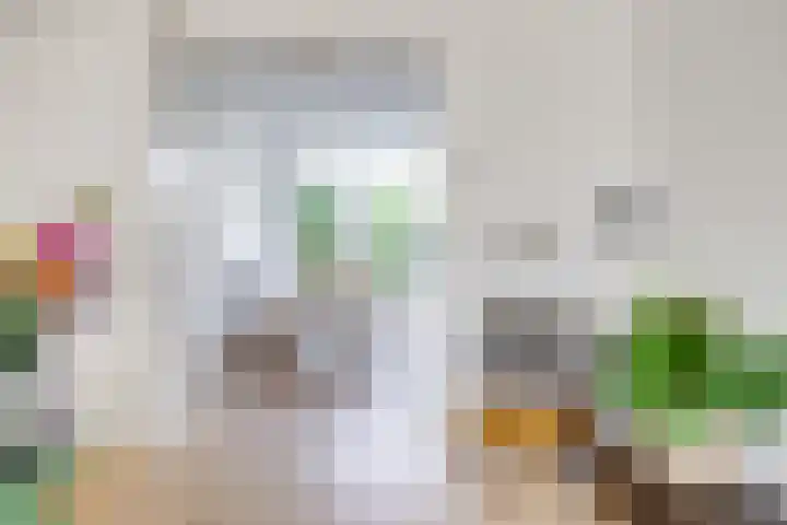 Esdoornstraat 22 Utrecht thumbnail 8