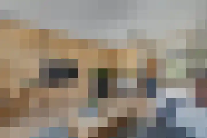Esdoornstraat 23 in Tilburg