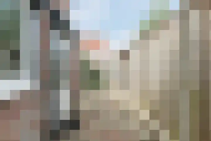 Esdoornstraat 23 Tilburg thumbnail 21