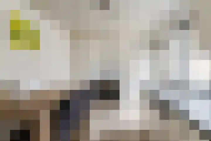 Esdoornstraat 23 Tilburg thumbnail 5