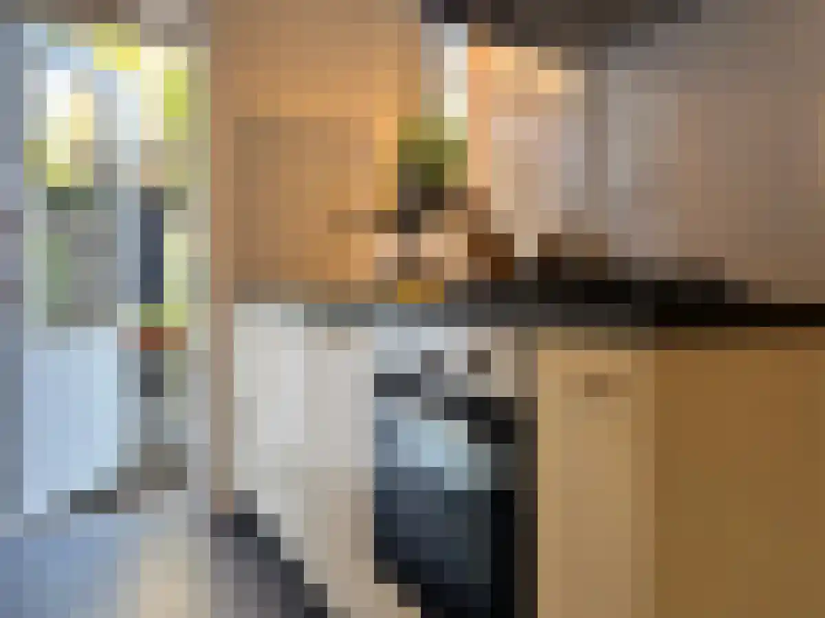 Esdoornstraat 23 Utrecht thumbnail 7