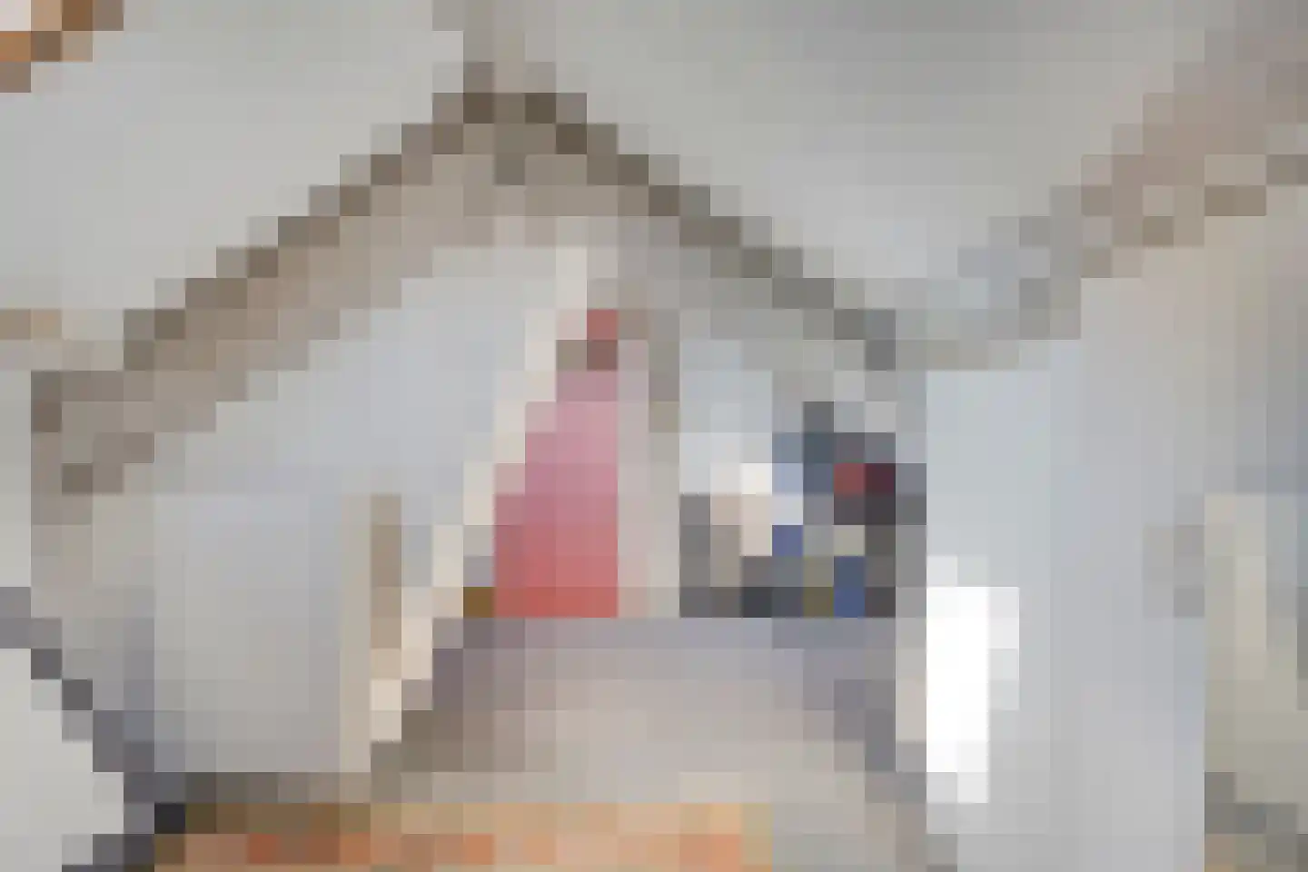 Esdoornstraat 23 Zundert thumbnail 27