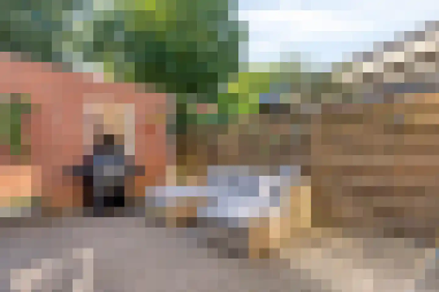 Esdoornstraat 23 Zundert thumbnail 30