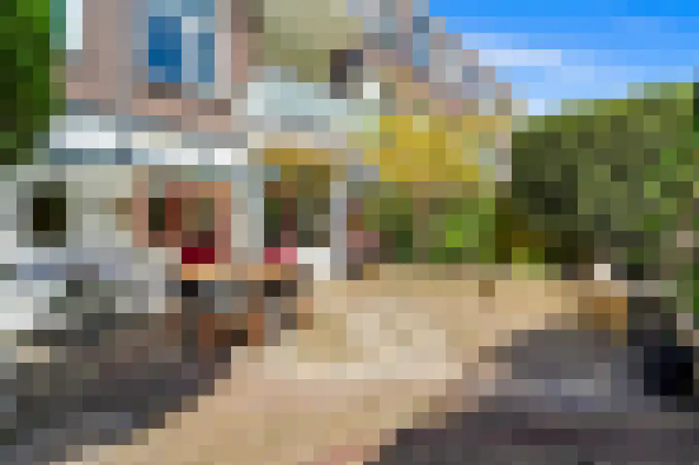 Esdoornstraat 24 Rijswijk thumbnail 11