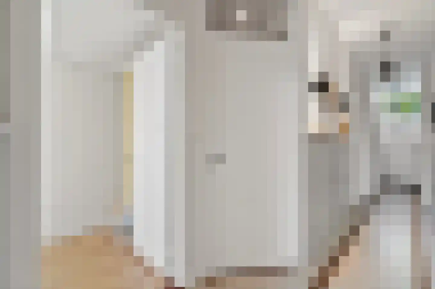 Esdoornstraat 24 Rijswijk thumbnail 24