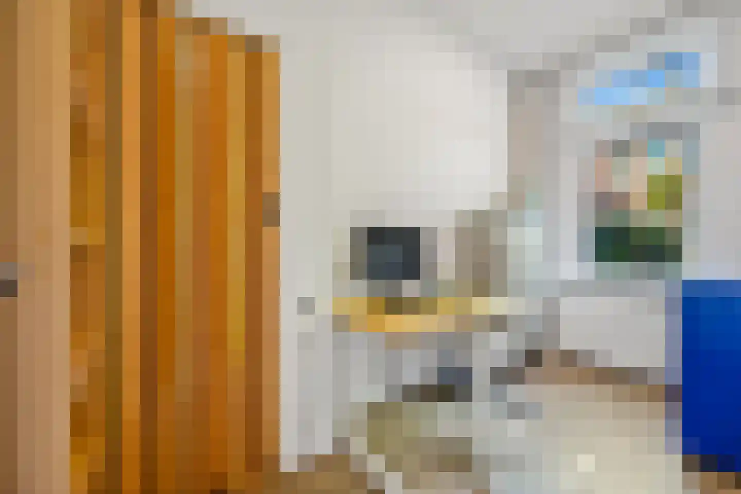 Esdoornstraat 24 Rijswijk thumbnail 25