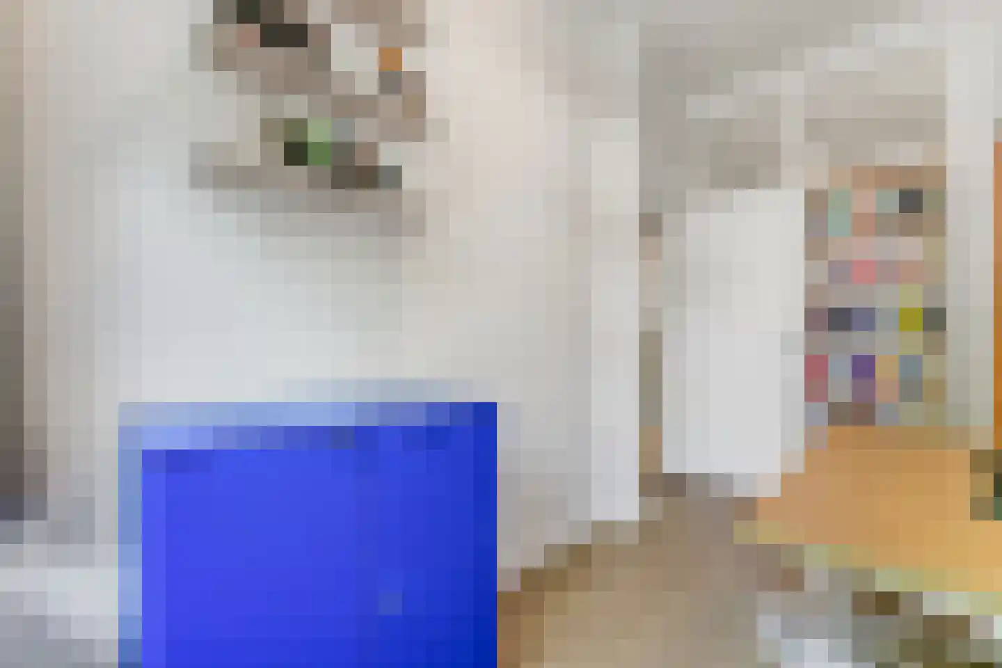 Esdoornstraat 24 Rijswijk thumbnail 26