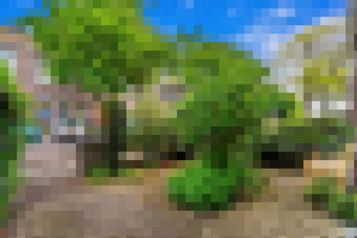 Esdoornstraat 24 Rijswijk thumbnail 44