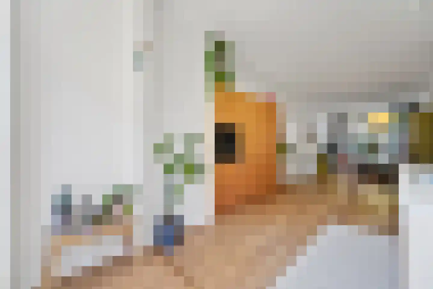 Esdoornstraat 24 Rijswijk thumbnail 7