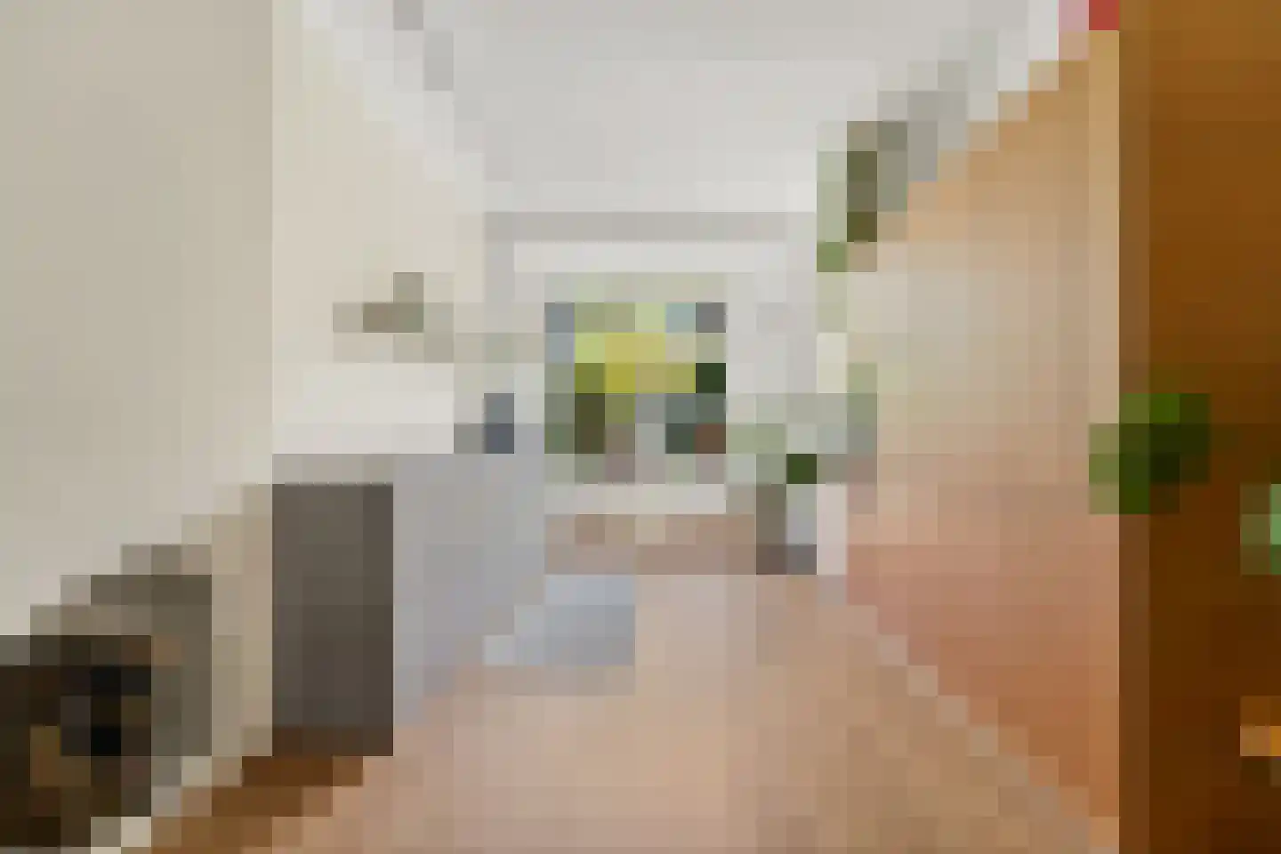 Esdoornstraat 24 Rijswijk thumbnail 8