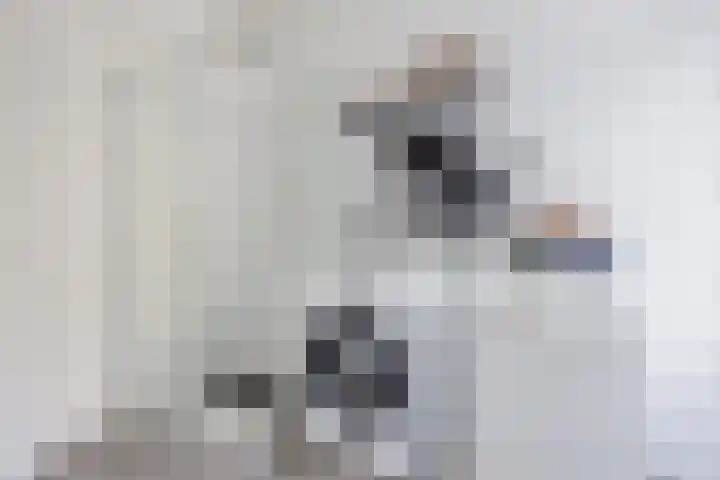 Esdoornstraat 25 Den Haag thumbnail 26