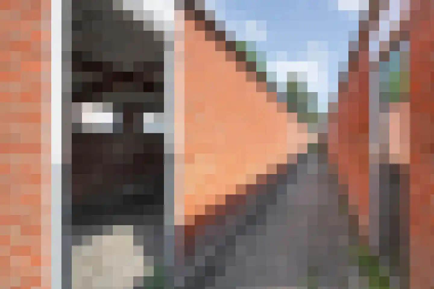 Esdoornstraat 25 Raalte thumbnail 35
