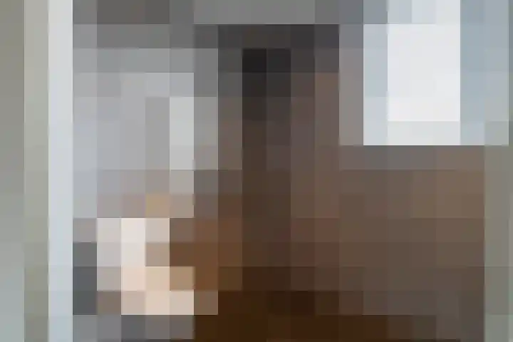 Esdoornstraat 27 Brakel thumbnail 22