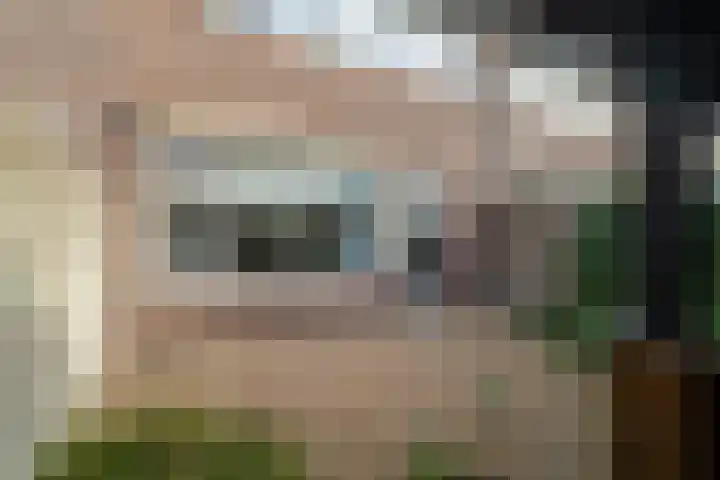 Esdoornstraat 27 Brakel thumbnail 28