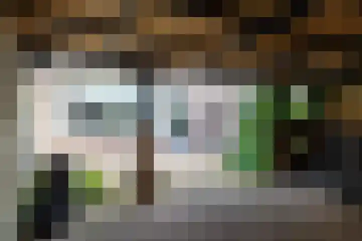 Esdoornstraat 27 Brakel thumbnail 29
