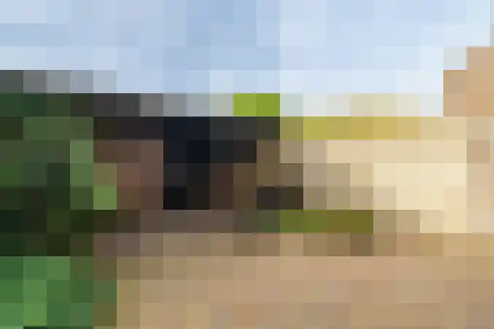Esdoornstraat 27 Brakel thumbnail 31