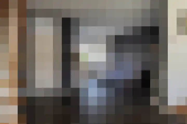 Esdoornstraat 27 Brakel thumbnail 6