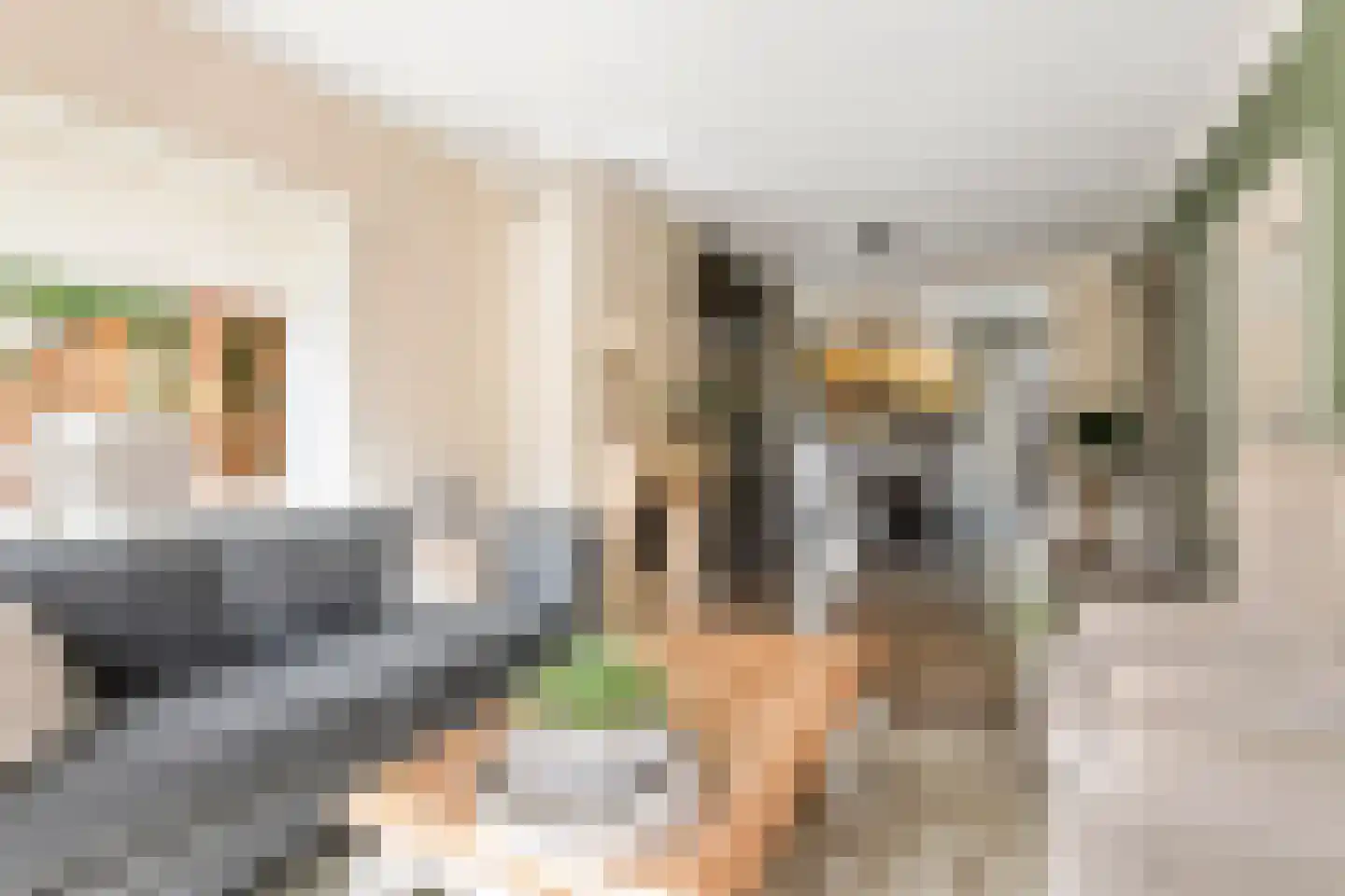 Esdoornstraat 27 Geldermalsen thumbnail 10