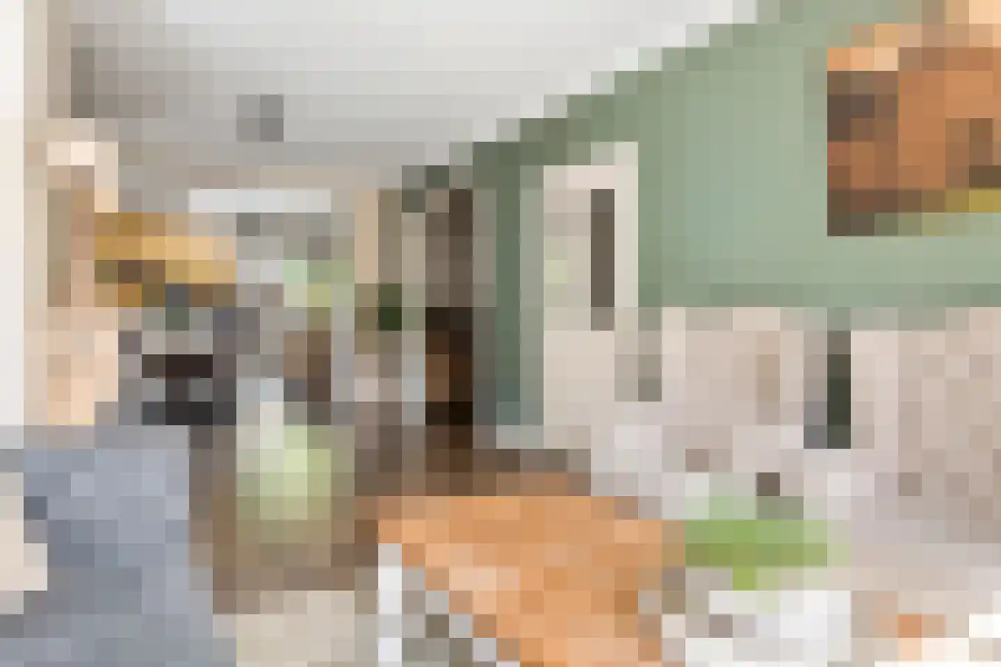 Esdoornstraat 27 Geldermalsen thumbnail 11